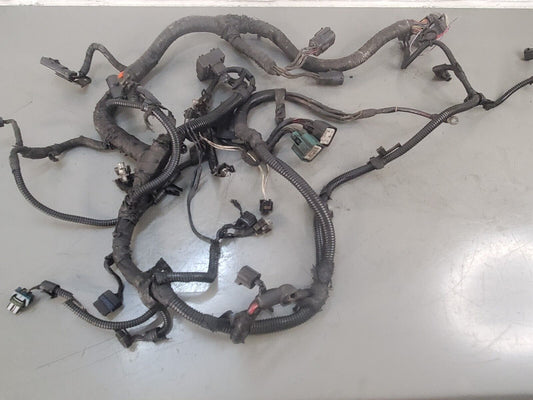 03-04.5 6.0 Ford Powerstroke 6.0L Main Engine Harness